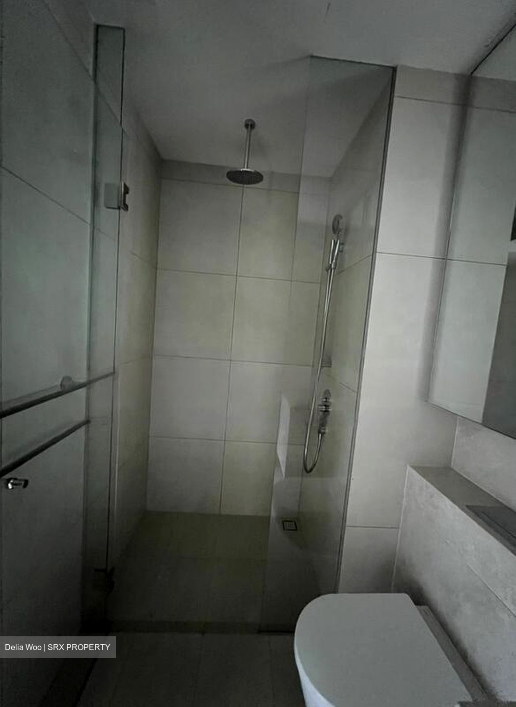 FORETT AT BUKIT TIMAH (D21), Apartment #456460381